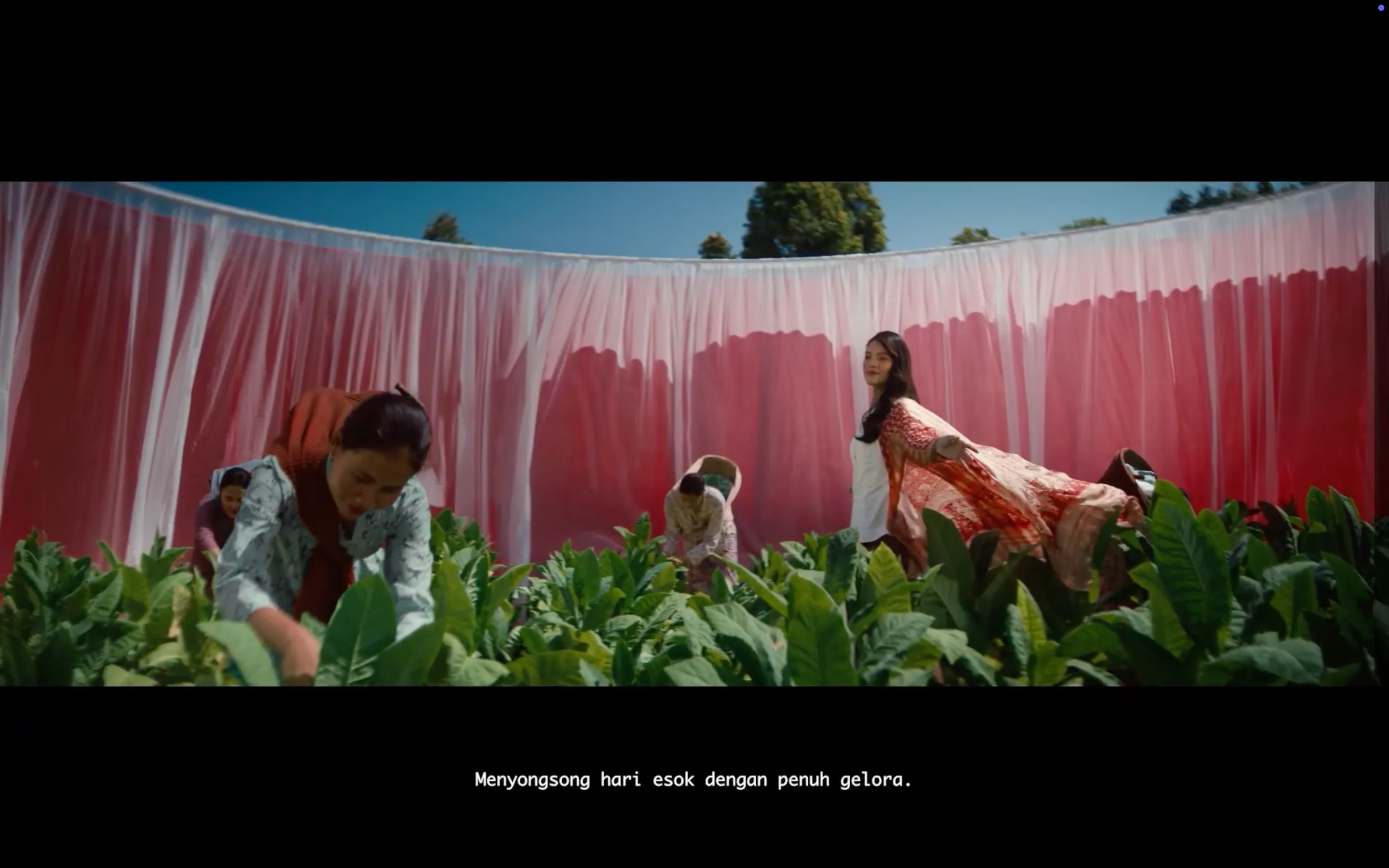 Salvo (PT Salvo Cipta Kreasi)